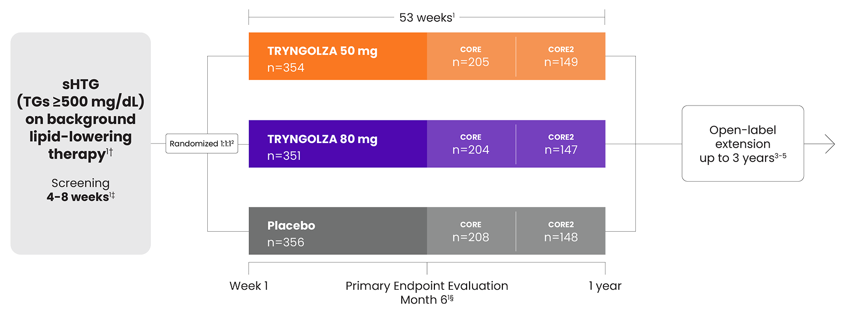 Diagram showing the TRYNGOLZA study design stages.