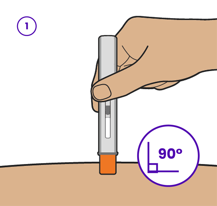 Illustration depicting the three easy steps for injecting TRYNGOLZA. The text reads: '1. Place: Remove the clear cap and place the orange needle shield at a 90-degree angle against the skin. Make sure you can see the viewing window; 2. Push: Push firmly against the skin. You may or may not hear 2 clicks. This is normal. The procedure is not finished; 3. Hold: Hold the autoinjector against the skin and continue pressing down for 10 seconds.