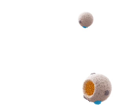 chylomicrons cut through example showing triglycerides and apoC-III